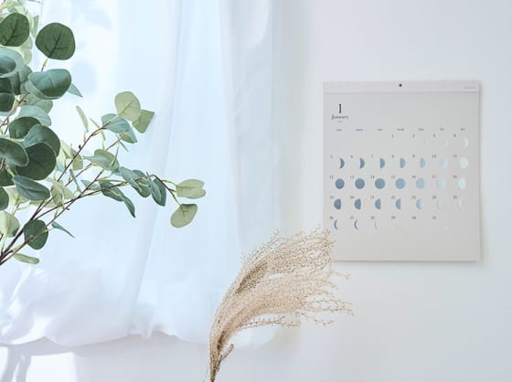 トピックスの画像